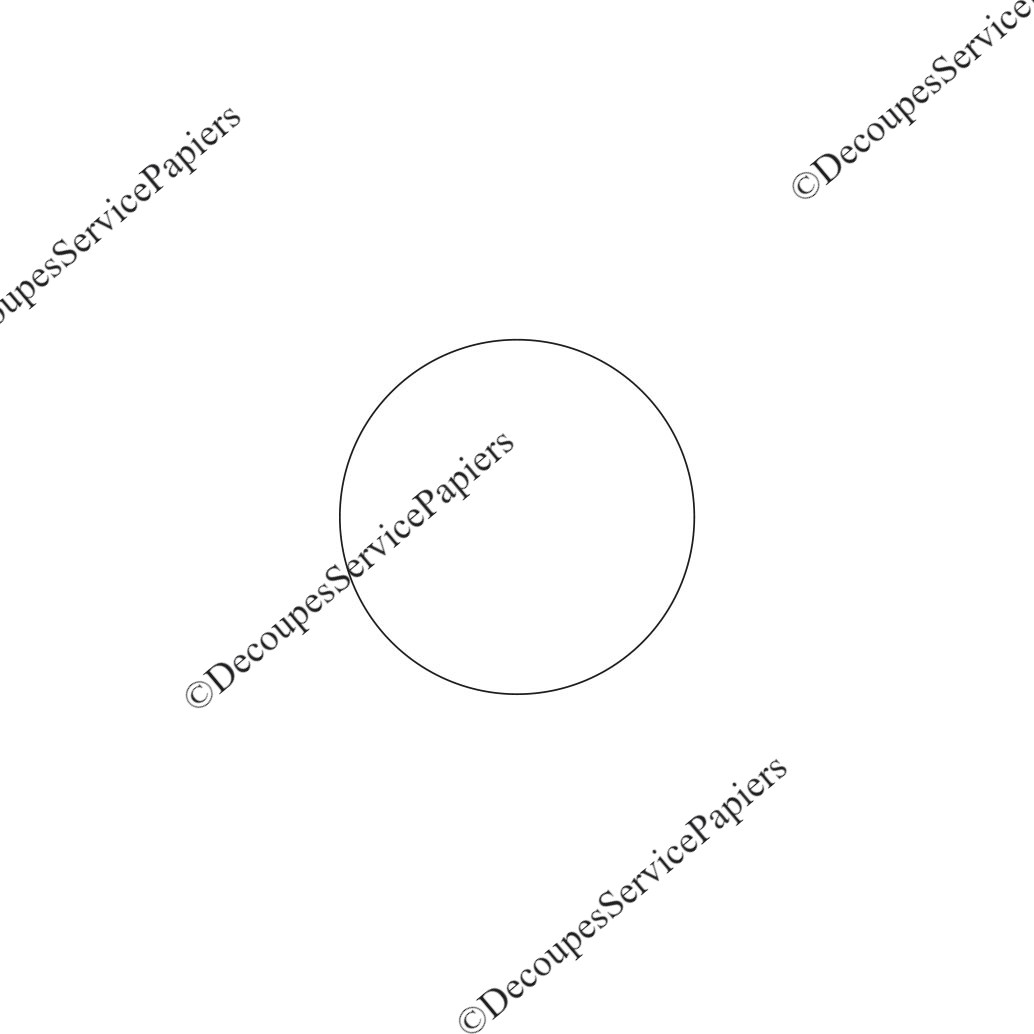 rond D 45.jpeg